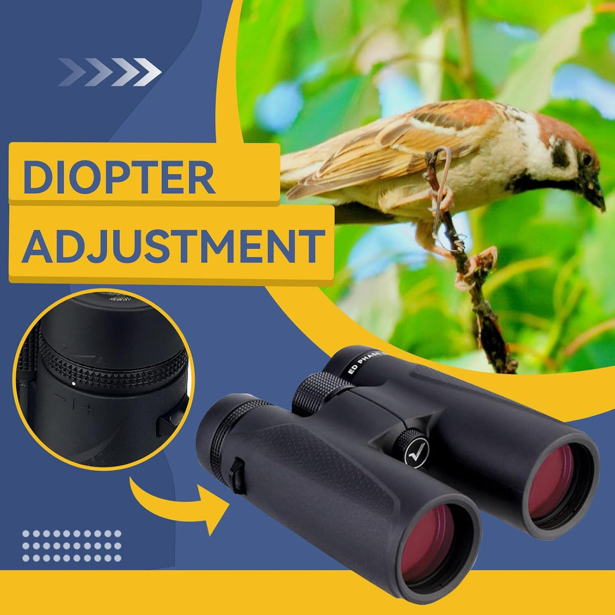 Svbony SV202 Binoculars 10x42 ED Glass BAK4 Prism FMC Lens Sports Binoculars Telescopes Magnesium Alloy Body Water Resistant with Carrying Case Neck Strap - QUORE
