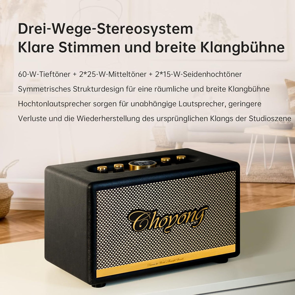 CHOYONG Maestro C2 WiFi-luidspreker Draadloze Bluetooth Smart Speaker, Drie-weg luidsprekersysteem, Internet Radio Global Station, platenspeler compatibel met RCA-ingang, Choyoung C2