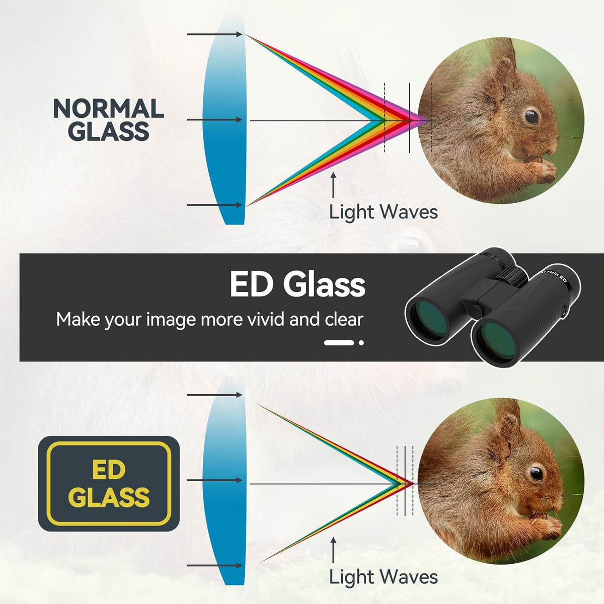 Svbony SA205 Verrekijker voor Volwassenen, 10x42 ED Vlakveldcorrectie Glas Bak4 Prisma FMC Lens met Hoog Vermogen IP67 Waterdicht, Uitgerust met Nekriem, Grote Oculair voor Vogelspotten