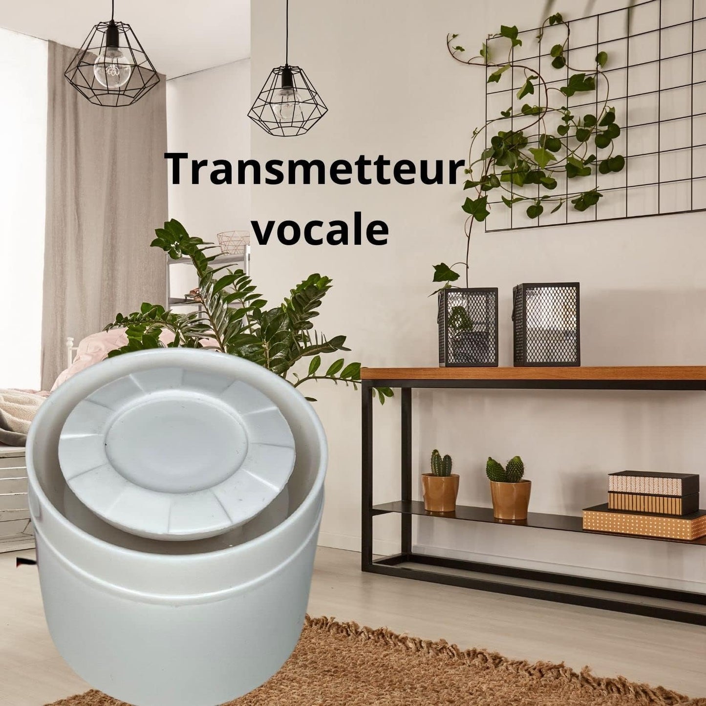 Kit Alarm en Camera Standalone Draadloze lifebox Evolution aangesloten kit 20