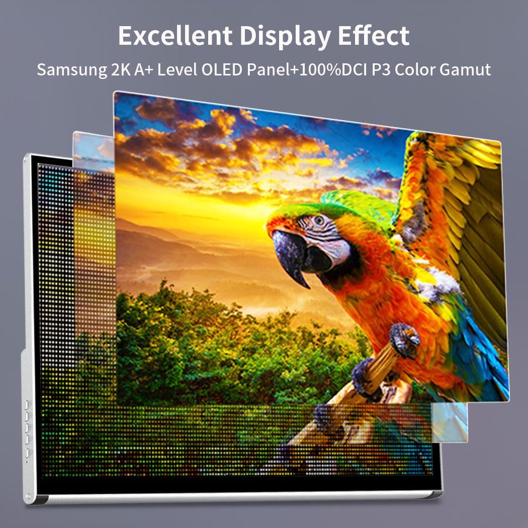 OLED Monitor, Portable, 13.3 Inches, 2K 2560 x 1440, Portable Touchscreen, Eye Care (OLED 2560 x 1440 Touch, 13.3 Inch) - QUORE