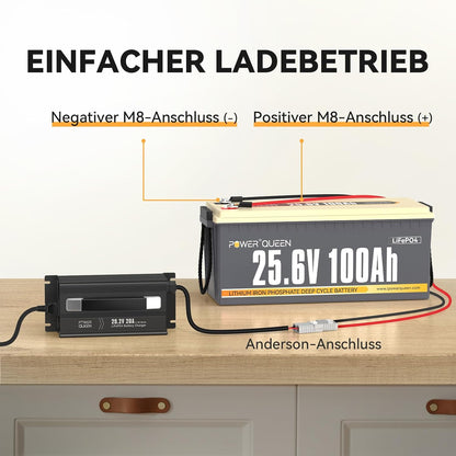 LiFePO4 Acculader – Lithium Batterijlader – Volautomatische Acculader – Oplaadapparaat – Compacte Acculader – 20A Laadstroom – Aluminium Behuizing Met Koelventilator