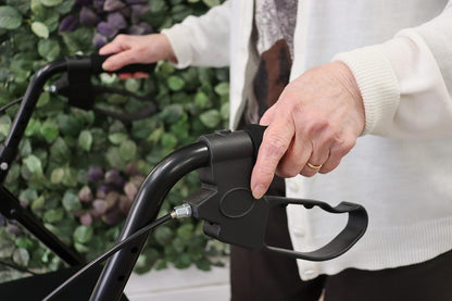 PEPE Mobility Rollator voor senioren met zitting (4 wielen, in hoogte verstelbaar, inklapbaar), loopwagen