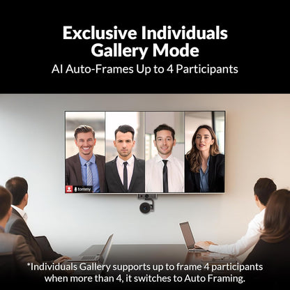 AV Access 4K Conference Room Camera, Dual Lens Cam (4K AI Tracking Cam en 1080P Panoramic Cam), 3x Optical/5X Digitale zoom, 120° FOV, Auto Framing, Individuals Gallery, Werkt met Meet,Teams, Zoom