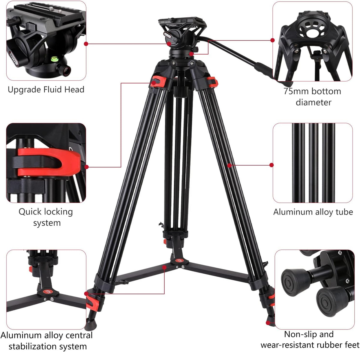 COMAN Camerastatief, 188 cm, robuust statief voor professionele videocamera's, draagtas, 8 kg, inclusief snelwisselplaat, fotostatief, statief