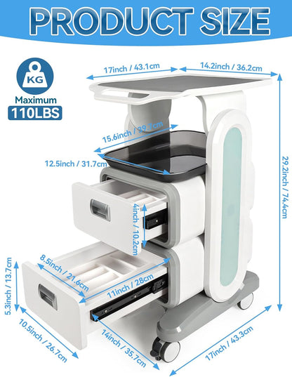 EBANKU Medical Trolley Cart with 2 Drawers, ABS Professional Rolling Cart with Non-Slip Pads Tray, Med Cart Mobile Trolley Cart for Hospital Clinic, Beauty Salon, Spa, Office, Bedroom - QUORE