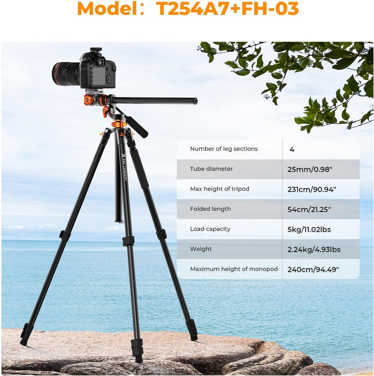Camerastatief – Fotostatief – Videostatief – Reisstatief – Statief Met Monopod – 231 Cm Hoog – Hydraulische Kop