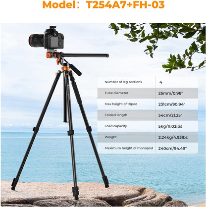 Camerastatief – Fotostatief – Videostatief – Reisstatief – Statief Met Monopod – 231 Cm Hoog – Hydraulische Kop