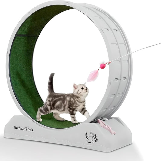 Kattenspeelrad – Kattenloopwiel – Kattenrenrad – Kattenrad – Kattenfitness – 80 cm Diameter – Stil En Duurzaam - QUORE
