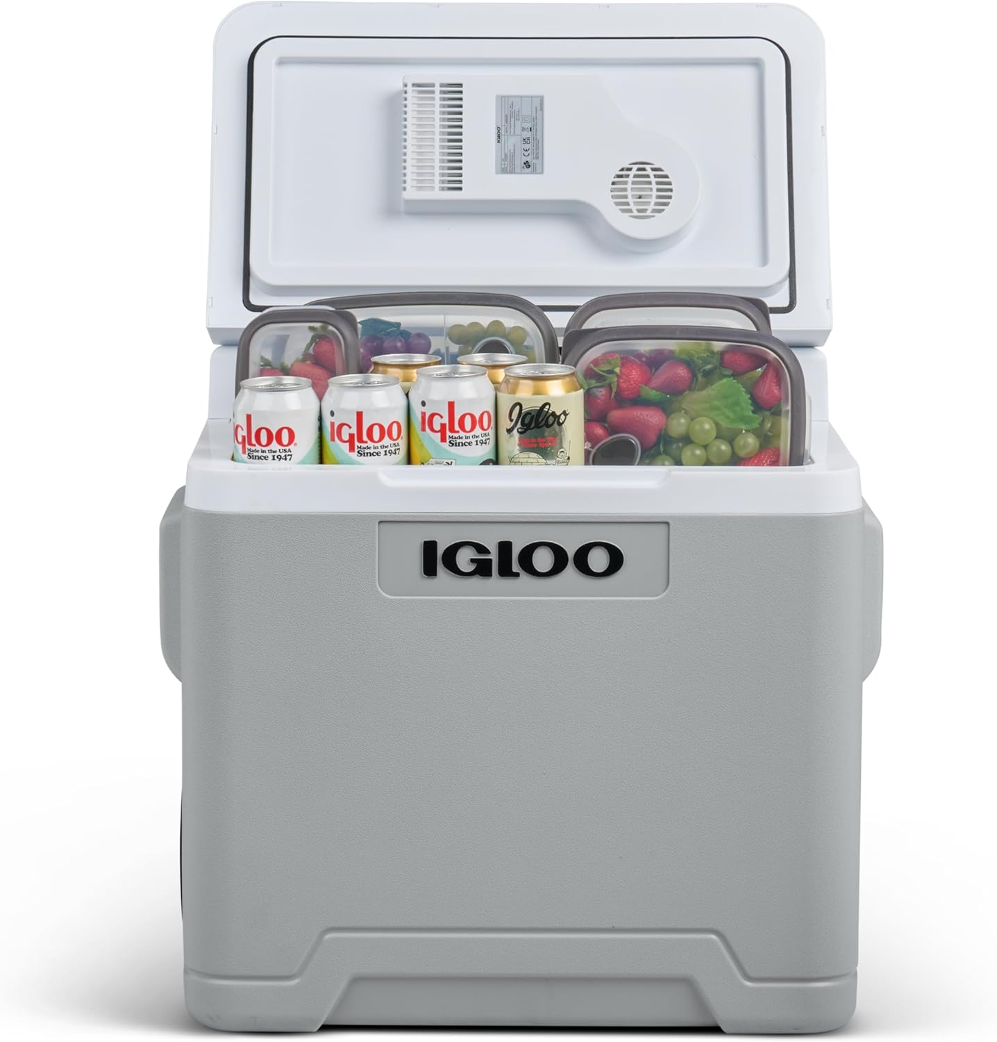 IGLOO IE42 elektrische koelbox 42L – 12V en 230V – Thermo-elektrische koelbox met wielen en telescoopgreep voor auto, camper, camping en vrachtwagen – Koelt tot 20 °C onder de omgevingstemperatuur