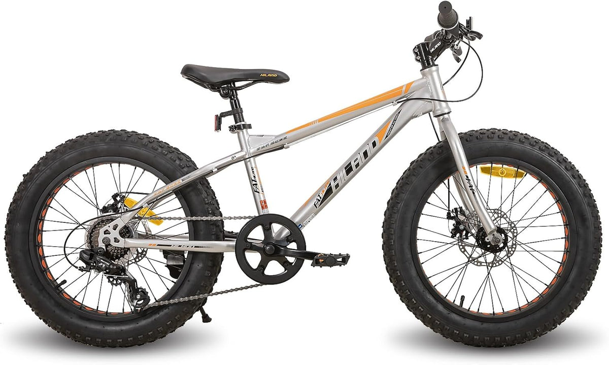 HILAND 20 inch kindermountainbike, 7 versnellingen, Fat Tires mountainbike, dubbele schijfremmen, kinderfiets voor jongens en meisjes, zilver