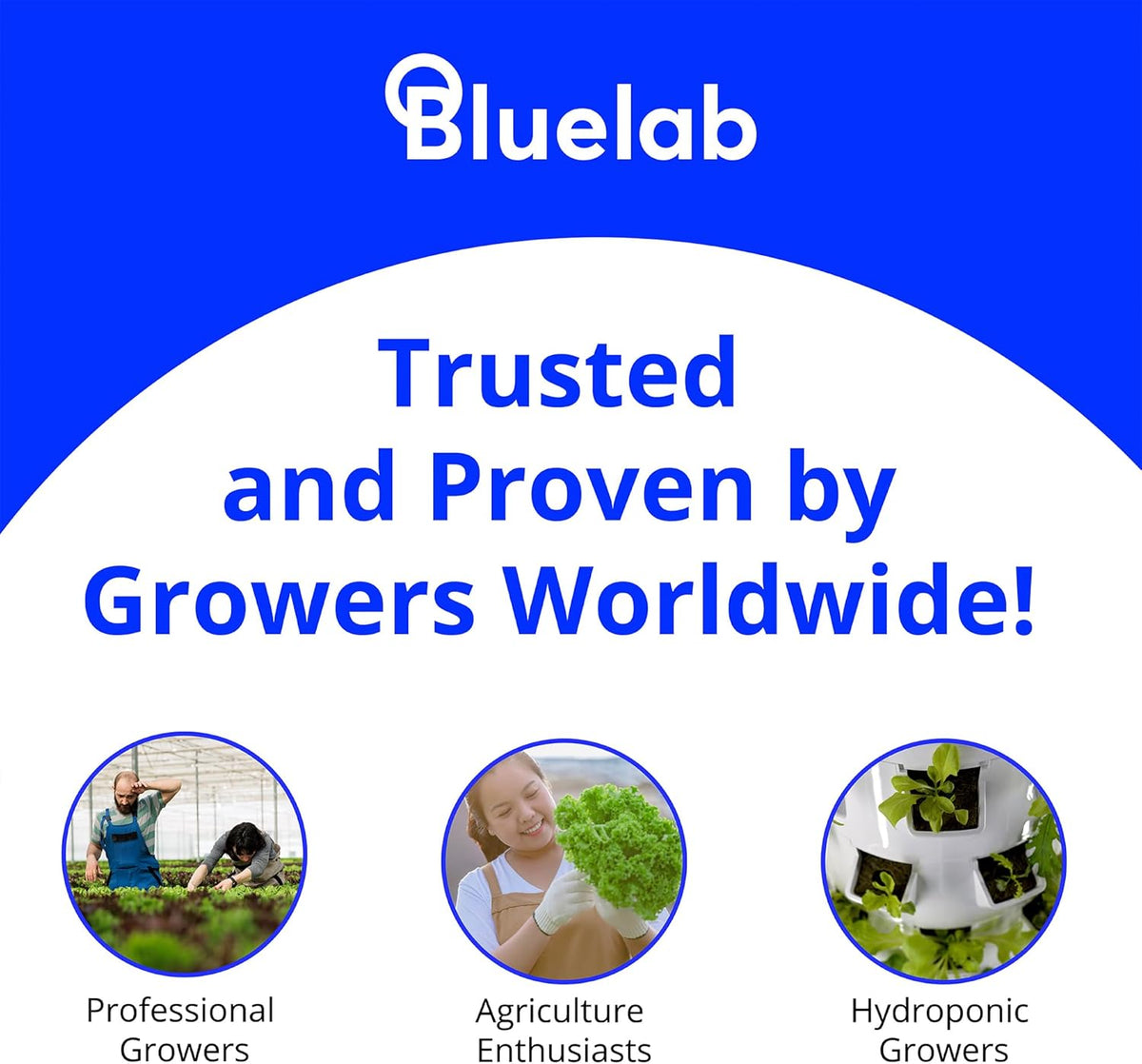 Bluelab PROBPHLEAP Leap pH Probe, Replacement Probe with BNC Fitting, use in Soil, Coco, Rockwool, Root Zone and Solution, Easy Calibration