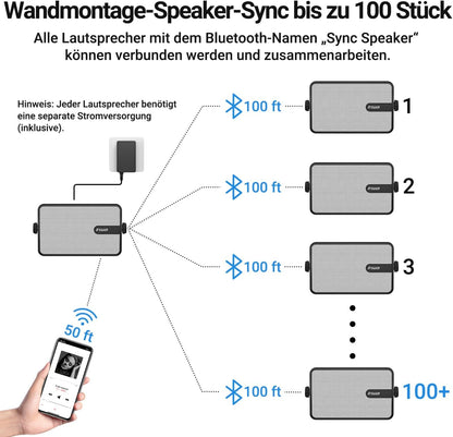 Inwa Bluetooth-Outdoorluidspreker, Draadloos Geluidssysteem voor Binnen en Buiten, IPX5-Waterdicht, 250W (2 Stuks Sync Speaker & AC/DC-Adapter, 1 Afstandsbediening, RMS 25W)