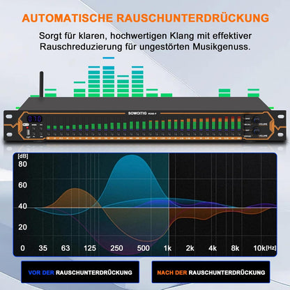 Stereo equalizer met 15-bands EQ voor thuisaudiosysteem, dual-channel DJ-equalizer
