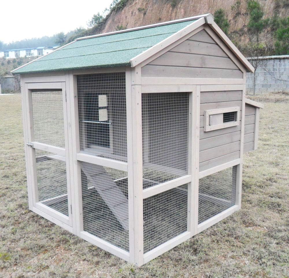 Winter-proof chicken coop, weatherproof, chicken house, XXL large quail coop, picker paradise, made of solid wood, suitable for 2-4 chickens, also as duck coop, rabbit hutch - QUORE