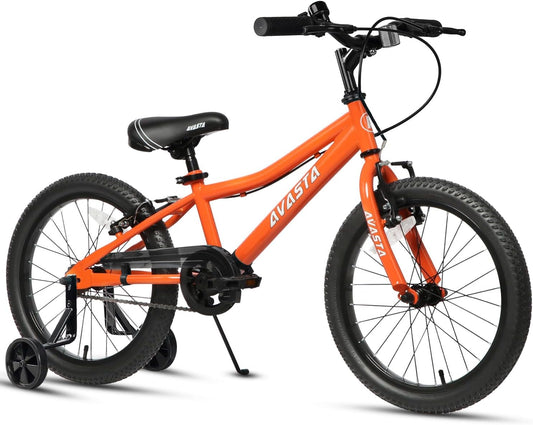 AVASTA 18 inch fiets BAG1006YS18or
