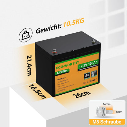 Li-ion Accu – Lithium Batterij – LiFePO4 Accu – 12V 100Ah Accu – Accu Met Oplader – Bluetooth Monitor – Laag Temperatuurbescherming