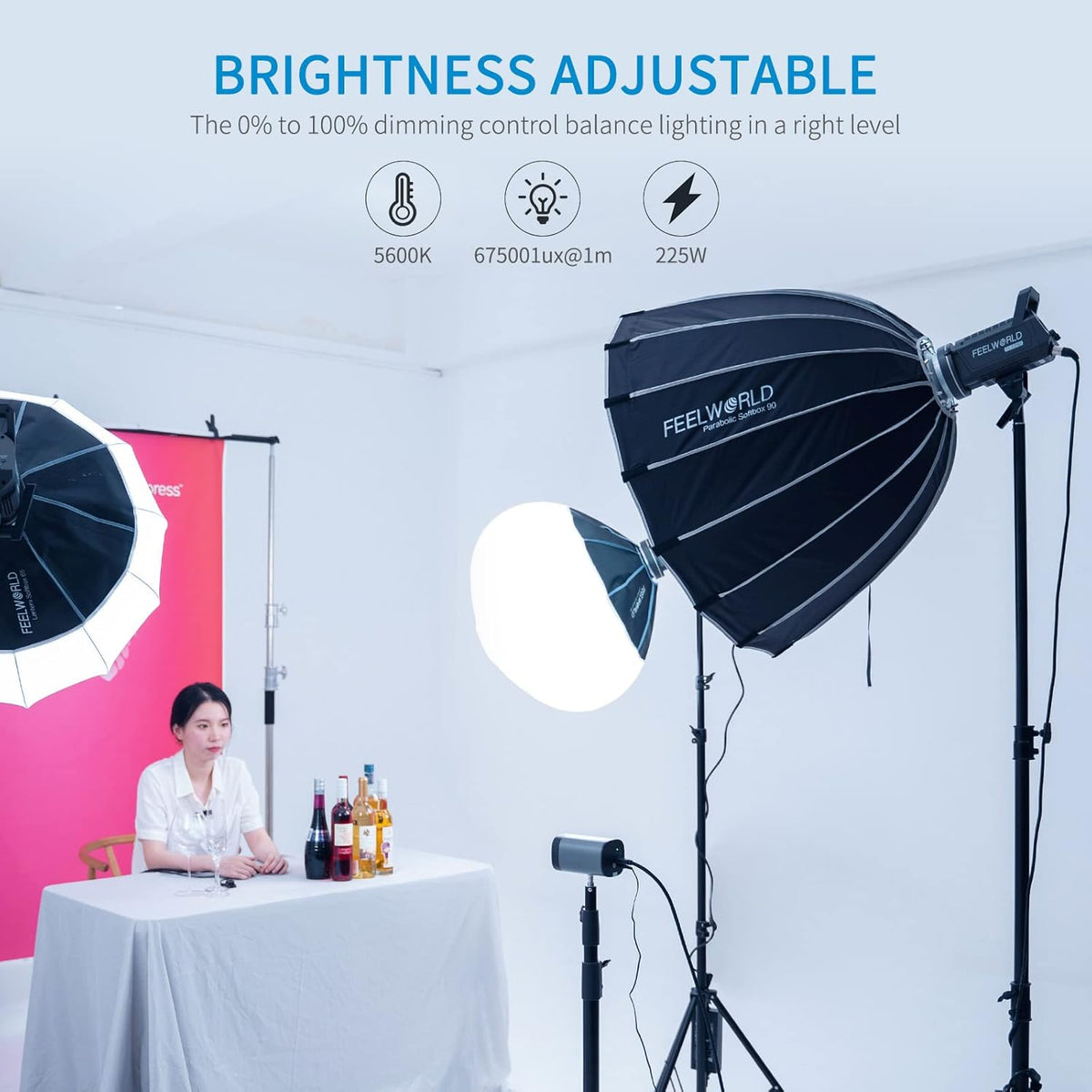 Studioflitser – Professionele Flitser – Flitslamp – Fotoflitser – Monolight – Bowens Mount – 225W Vermogen – 5600K Daglichtkleur