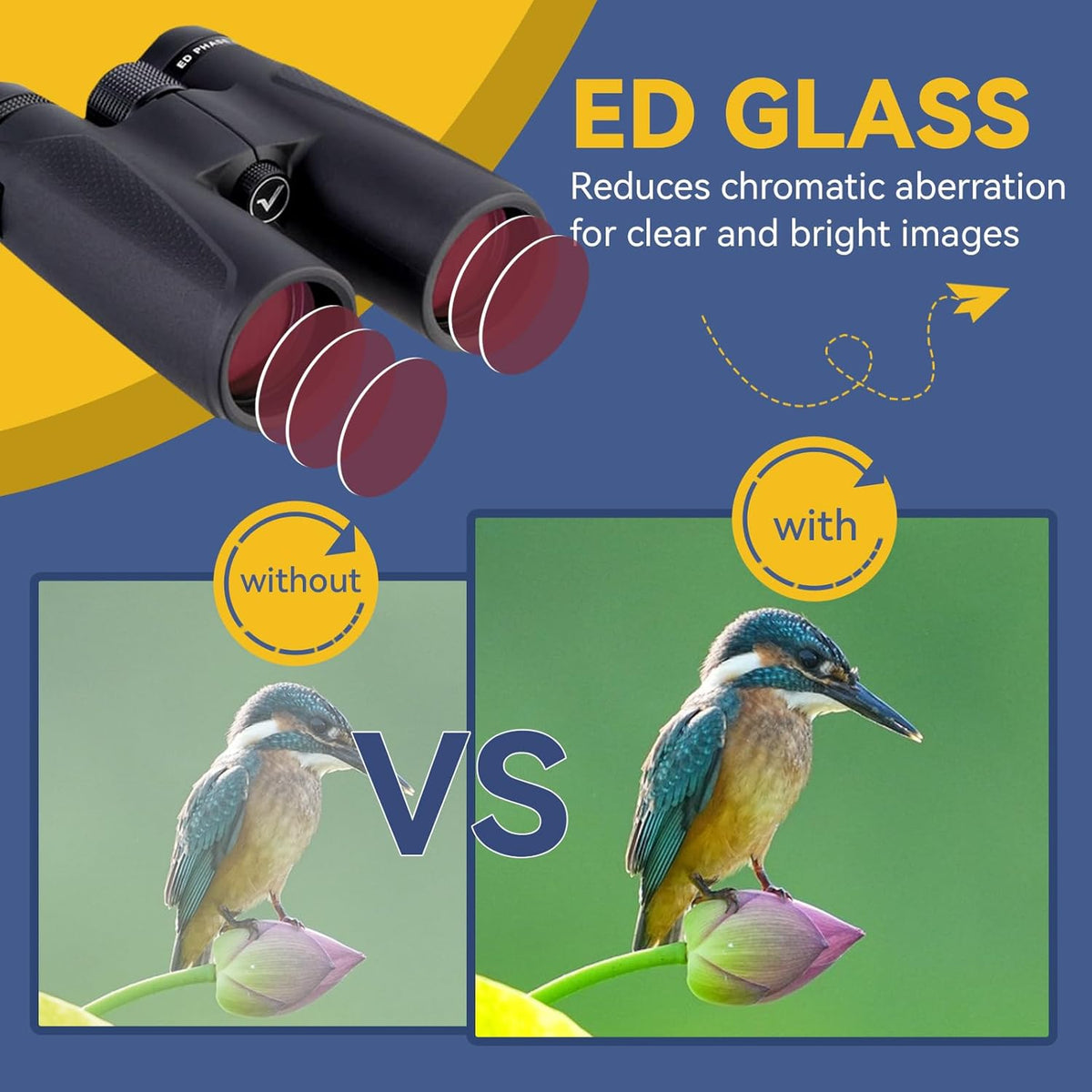 Svbony SV202 Binoculars 10x42 ED Glass BAK4 Prism FMC Lens Sports Binoculars Telescopes Magnesium Alloy Body Water Resistant with Carrying Case Neck Strap - QUORE