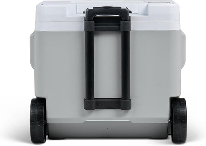 IGLOO IE42 elektrische koelbox 42L – 12V en 230V – Thermo-elektrische koelbox met wielen en telescoopgreep voor auto, camper, camping en vrachtwagen – Koelt tot 20 °C onder de omgevingstemperatuur