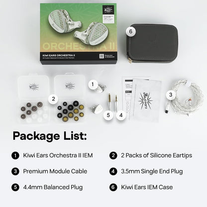 In-Ear Monitor – IEM Oordopjes – In-Ear Hoofdtelefoon – Monitor Oortjes – Zilverkleurig – 10 Balanced Armature Drivers per Oor – Handgemaakte Behuizing met Goede Geluidsisolatie