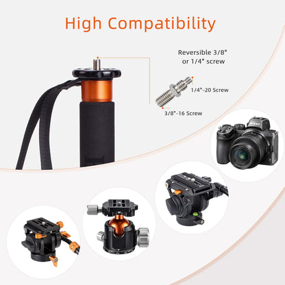 C304F Koolstofvezel monopod camera monopod, 173 cm telescopisch reismonopod 4-segmentair met afneembare statiefvoet, belastbaar tot 25 kg voor DSLR-camera camcorder