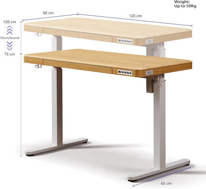 KOWO Electric Standing Desk with Drawers, USB-C Hub and Wireless Charger, Sit-Stand Desk, Adjustable Table, Home Office, Computer Table with Storage Space, 120 cm (L) Maple Wood - QUORE