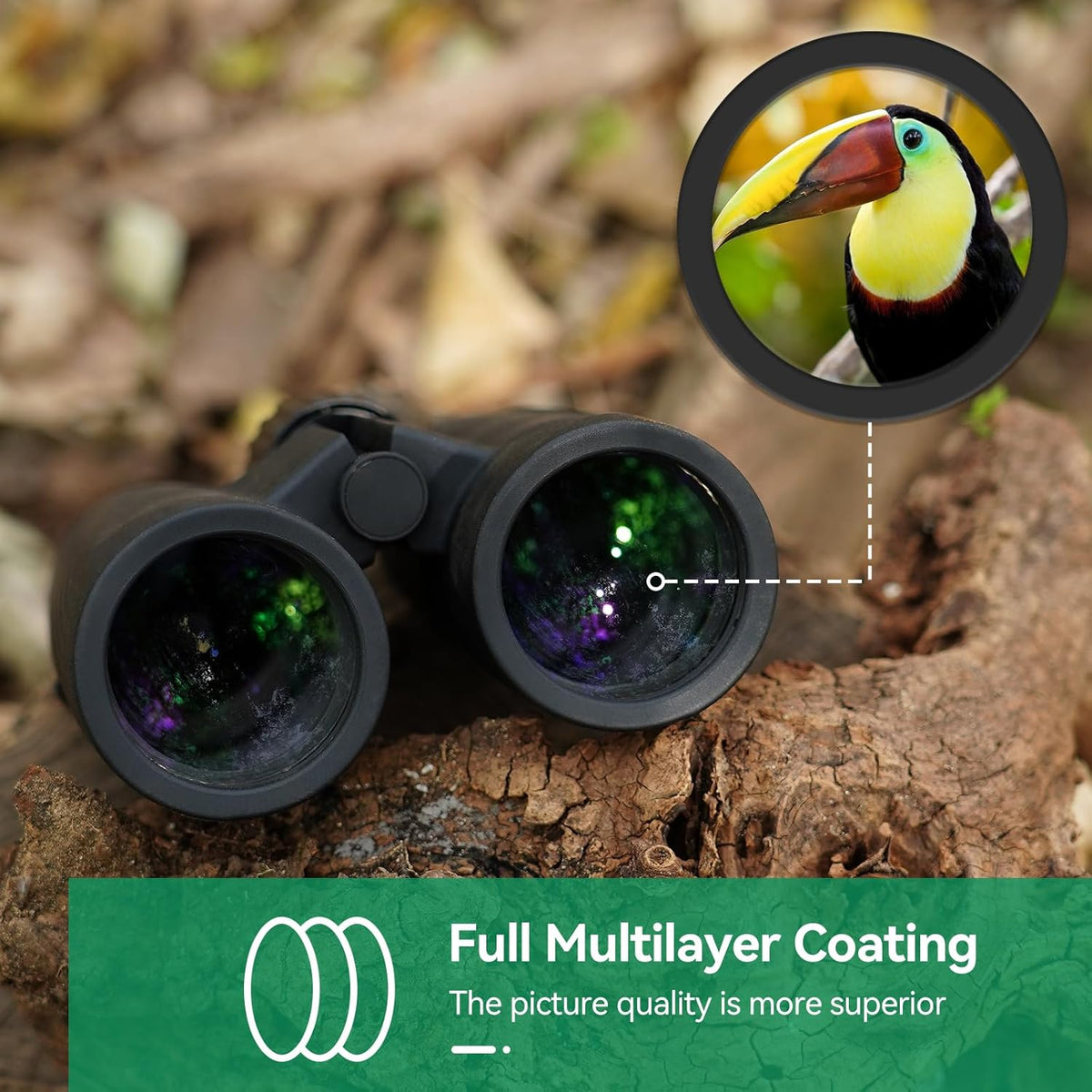Svbony SA205 Binoculars for Adults,8X42 ED Glass BAK4 Prism FMC Lens High Power Magnification Binoculars Clear Viewing Area,Carrying Case,Carrying Strapfor Travel Bird Watching Astronomy - QUORE