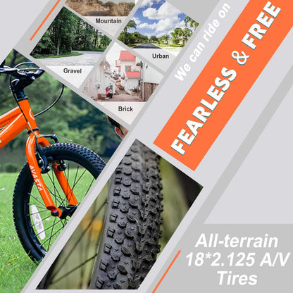 AVASTA 18 inch fiets BAG1006YS18or