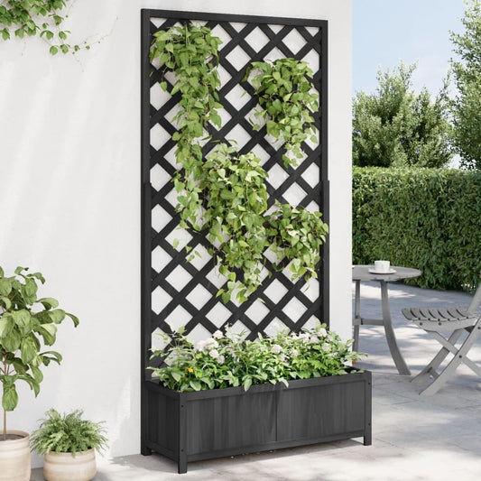 Flower Box with Black Trellis Made of Solid Pine Wood for Climbing Plants, Flower Box for Garden and Patio with Integrated Stand for Roses and Vines, Durable Structure - QUORE