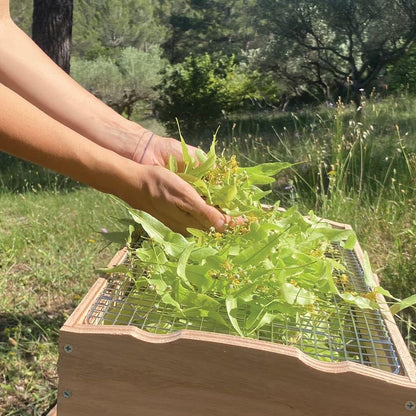 OMY Droger op zonne-energie, 200 W, 3 dienbladen van roestvrij staal, droogapparaat voor fruit, groenten en gedroogde planten, thermometer, ventilator, zonnepaneel