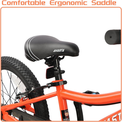 AVASTA 18 inch fiets BAG1006YS18or