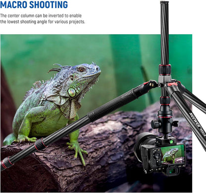 NEEWER Opgewaardeerde 80.5" Carbon Fiber Camera Statief Monopod met Telescopische 2 Sectie Center Axes, 360 ° Panorama Ballhead, 1/4" Arca Type QR Plaat, Reisstatief met ø28mm kolom, Max Belasting 20