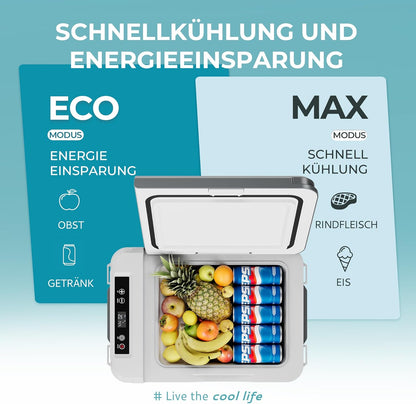 EUHOMY Draagbare koelbox voor compressor 10 l (-20 °C ~ 20 °C), DC 12/24 V AC 230 V draagbare compressor met app-bediening, 15 minuten snelle koeling, ECO/MAX modi