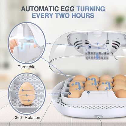Automatische Couveuse 16 Eieren Blauw – Incubator – Broedmachine – Eierincubator – Broedkast – Automatische Eierdraaiing – Externe Watervulling