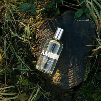 Amber Eau de Toilette – Parfum – Geur – Toiletwater – Unisex – 100 ml – Fris Groen En Warme Amber
