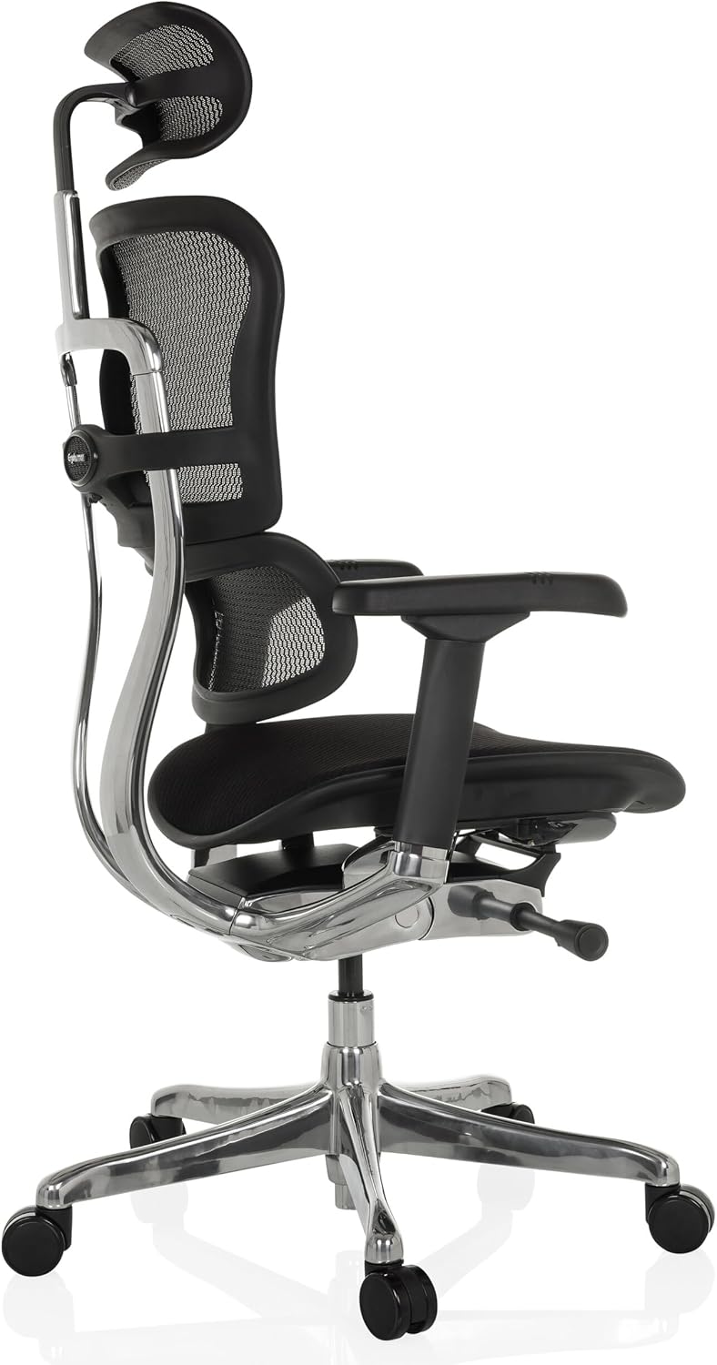 <font dir="auto" style="vertical-align: inherit;"><font dir="auto" style="vertical-align: inherit;">        hjh OFFICE Ergohuman Professional office chair with flexible lumbar support, original design, padded seat, mesh back, black       </font></font>