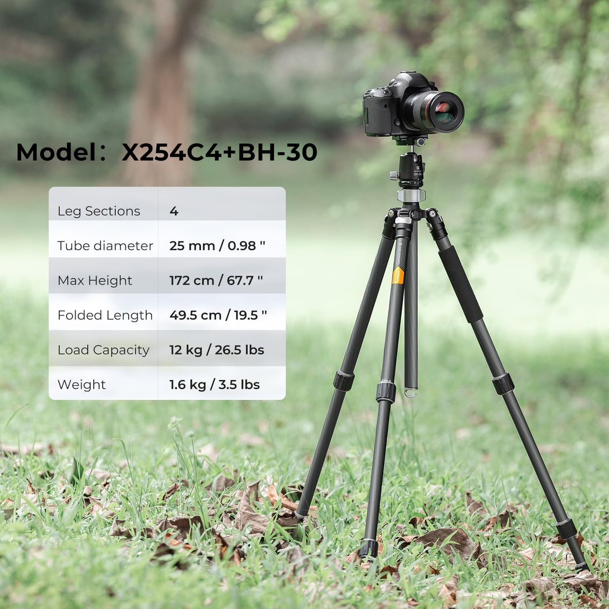 Camerastatief – Fotostatief – Reisstatief – Tripod – DSLR-statief – Koolstofvezel, 173 cm Verstelbaar – 360° Balhoofd