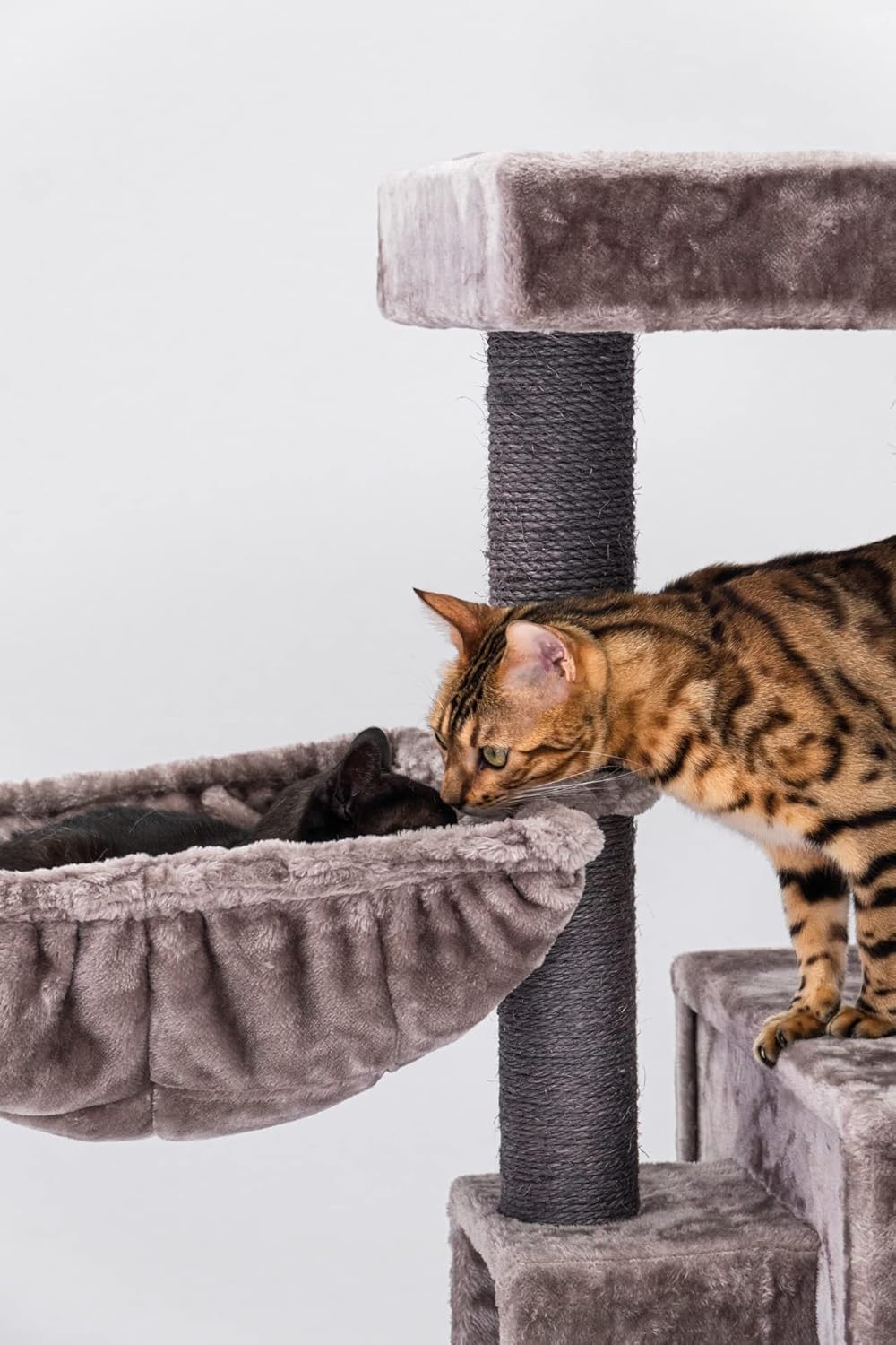 Krabpaal – Krabboom – Kattenboom – Kattenmeubel – Klimpaal – Luxe Cappuccino Design – Extra Dikke Sisalstammen Ø9 cm – Ruime Lange Loungemand