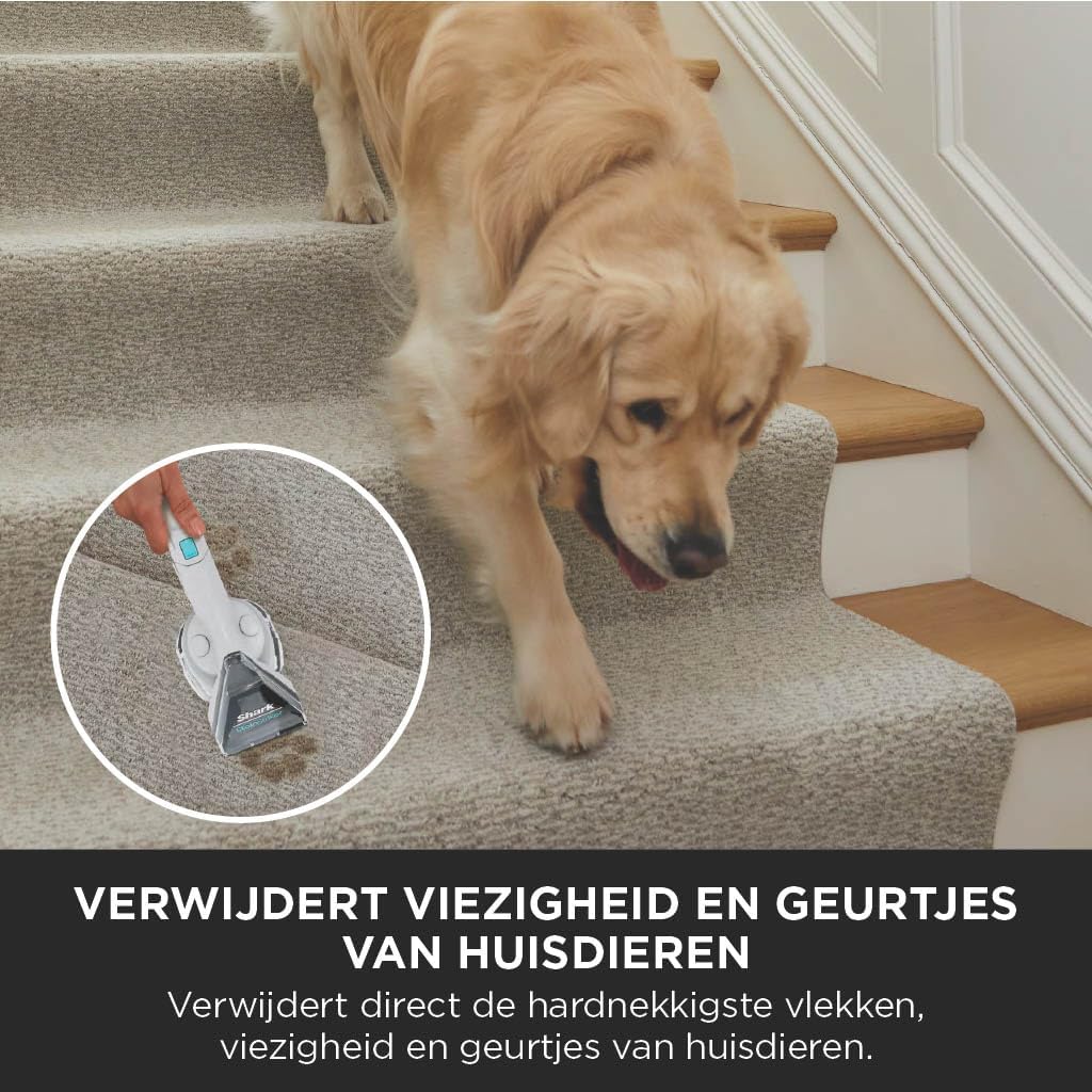 Vlekkenverwijderaar – Spotreiniger – Vlek- en Geurverwijderaar – Tapijtreiniger – Dierenvlekkenreiniger – Compact en Draagbaar – Twee Reinigingsformules