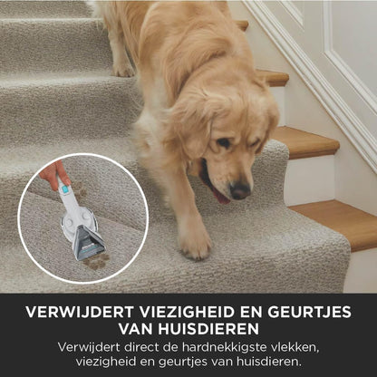 Vlekkenverwijderaar – Spotreiniger – Vlek- en Geurverwijderaar – Tapijtreiniger – Dierenvlekkenreiniger – Compact en Draagbaar – Twee Reinigingsformules