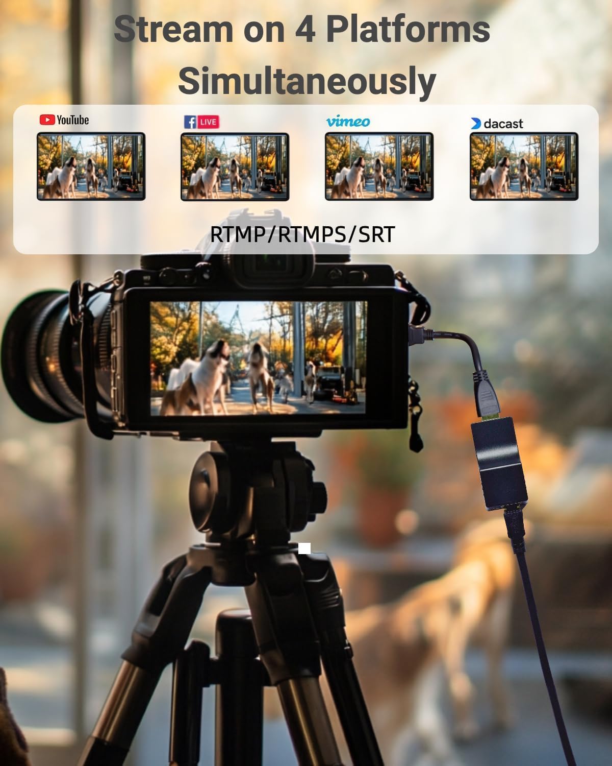 DDMALL HDMI-video-encoder, H.265 H.264 HDMI-encoder voor live streaming 1080p/1080i, draagbaar formaat, stabiele stroom, ondersteuning SRT, HLS, RTMP, RTMPS, RTSP, UDP, TCP, model HEV-2K