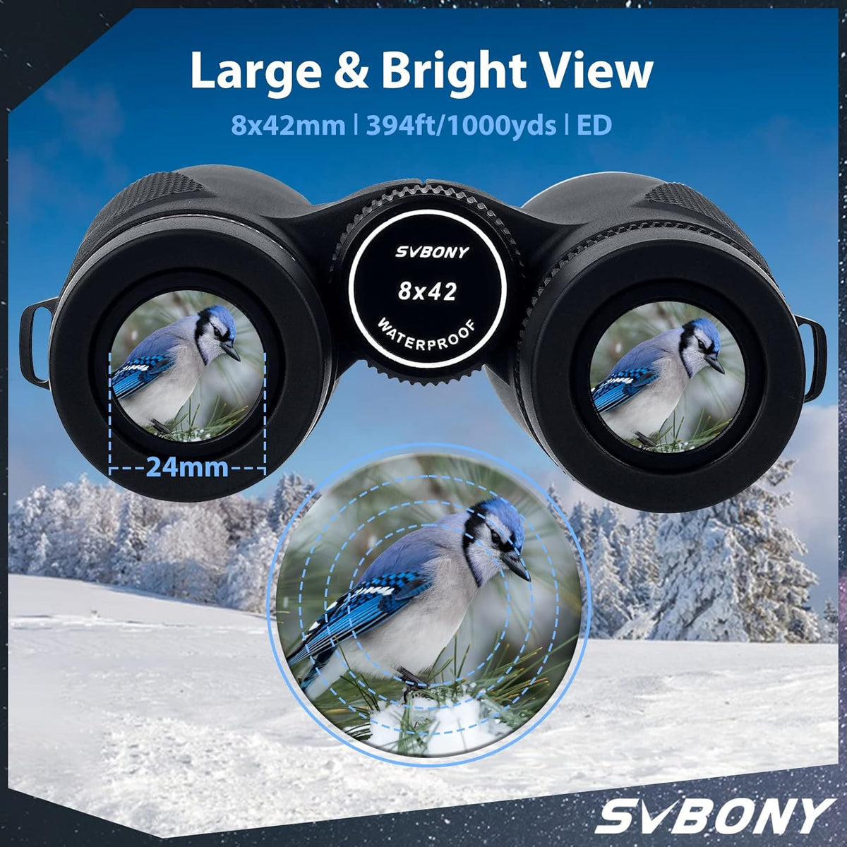Svbony SV202 ED verrekijker voor Adaults 8x42, High Power Bak4 FMC Compacte Verrekijker, Lichtgewicht voor Vogels kijken, Doelen