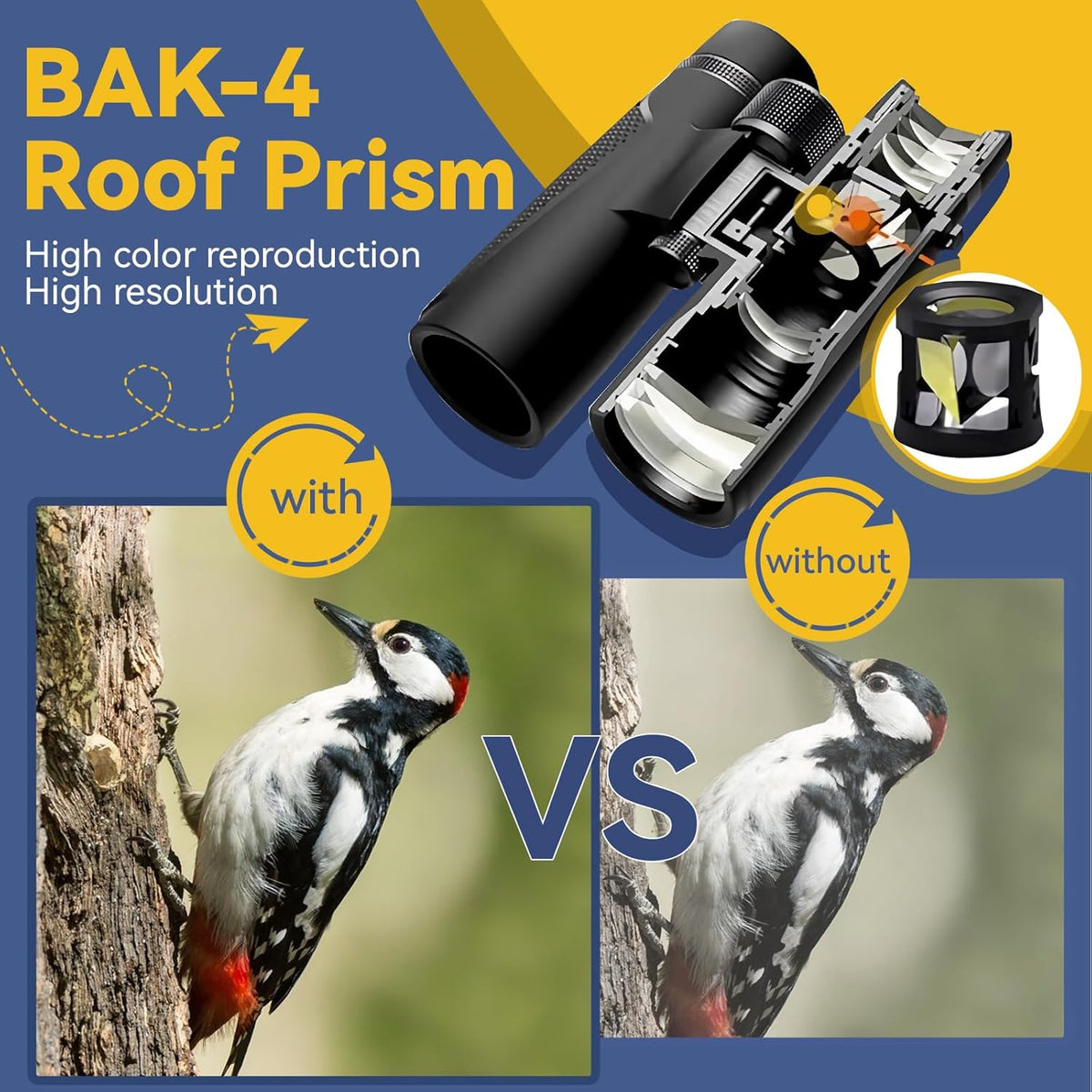 Svbony SV202 Binoculars 10x42 ED Glass BAK4 Prism FMC Lens Sports Binoculars Telescopes Magnesium Alloy Body Water Resistant with Carrying Case Neck Strap - QUORE