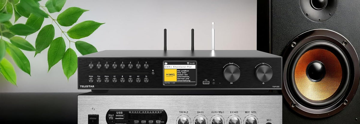 TELESTAR TOP 550 HiFi-systeem met versterker en cd-speler (43 cm breedte, 2 × 30 W, internetradio/DAB+, Bluetooth zend-/ontvangstfunctie, USB-opname, streamingdiensten) - zwart