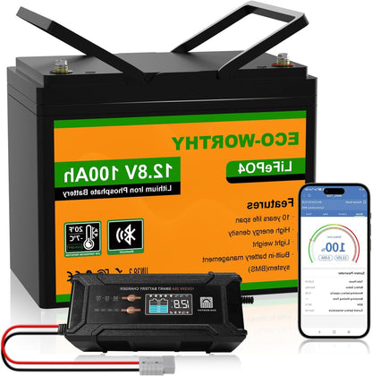 Li-ion Accu – Lithium Batterij – LiFePO4 Accu – 12V 100Ah Accu – Accu Met Oplader – Bluetooth Monitor – Laag Temperatuurbescherming