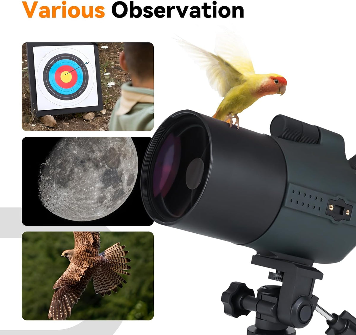 Svbony SV41Pro Mak Spotting Scope met Statief, 28-84X80 FMC Focus op Dubbele Snelheid, 1,25" Afneembaar Oculair, Waterdichte Spotting Scopes voor Vogels Kijken Wildlife Boogschieten Sterrenkijken