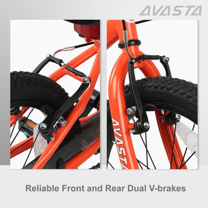 AVASTA 20 inch fiets BAG1006YS20or