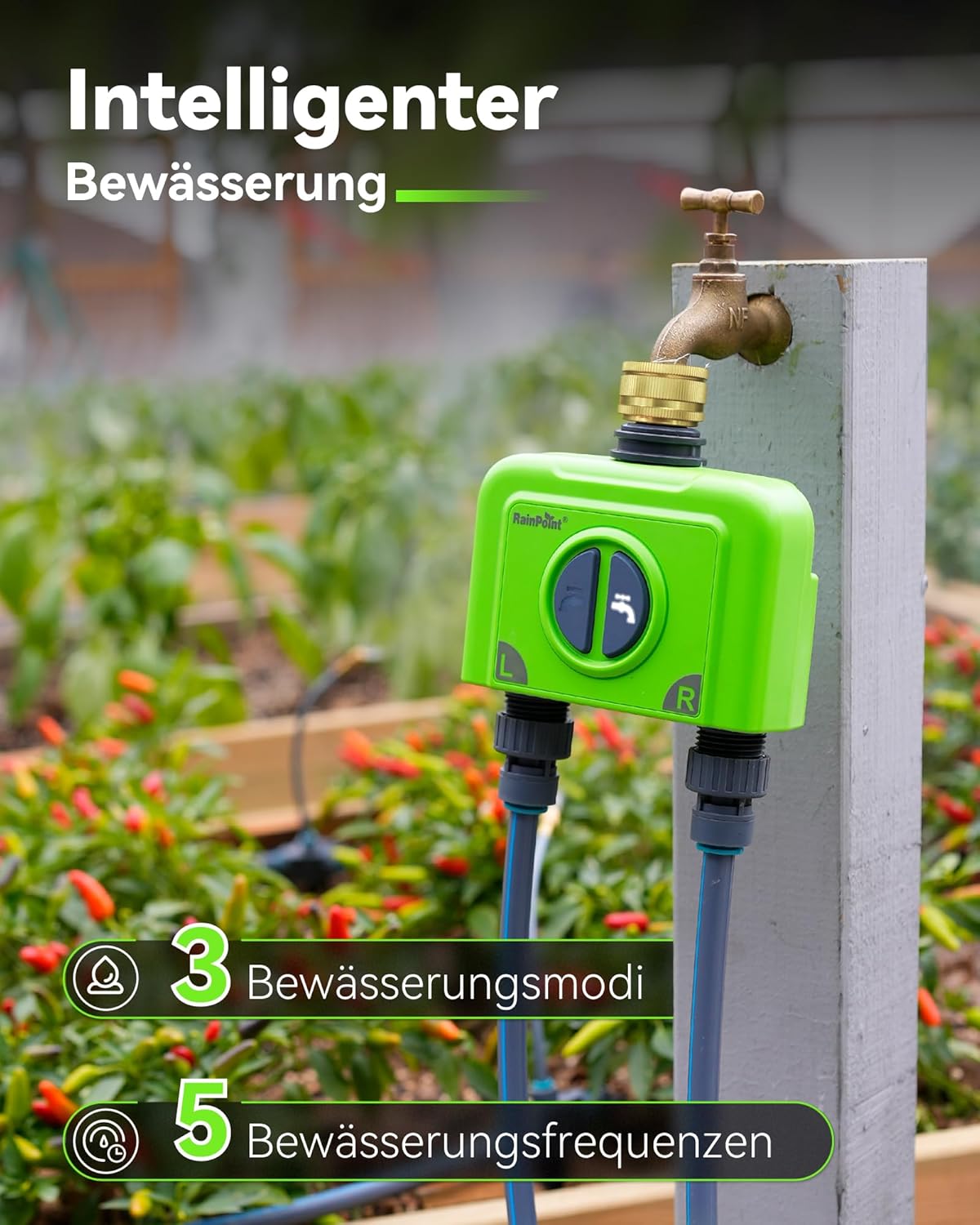 RAINPOINT Irrigatiecomputer, wifi, 2 uitgangen met antenne-gateway en messing inlaat, slimme irrigatiebesturing met app/spraakbediening, IP65, tuin, automatisch bewateringssysteem, 2 x 6 tijdschema's