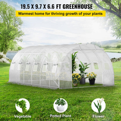 Kweekkas – Tuinkas – Broeikas – Tunnelkas – Kas – Gegalvaniseerd Stalen Frame – Waterdichte PE-Folie – 6x3x2 Meter – Optimale Ventilatie